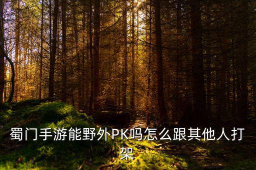 蜀门手游能野外PK吗怎么跟其他人打架
