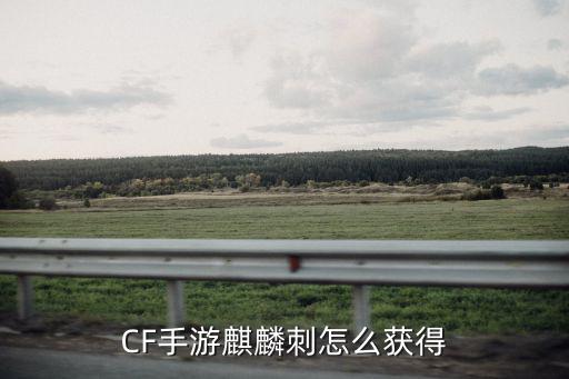 cf手游怎么弄麒麟，cf手游火麒麟皮肤怎么获得