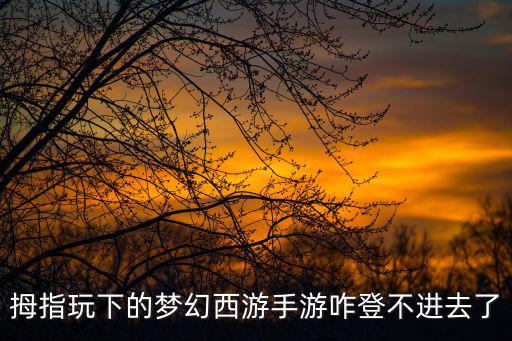 拇指玩下的梦幻西游手游咋登不进去了