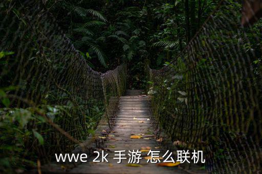 wwe 2k 手游 怎么联机