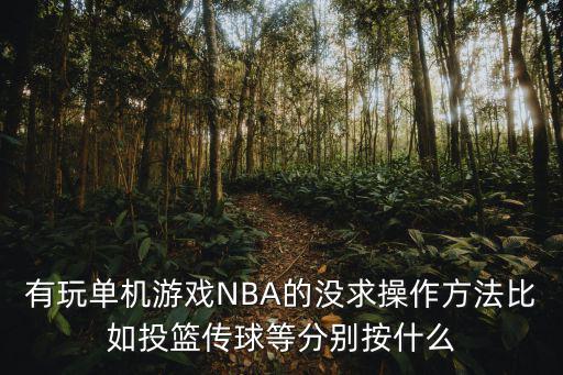 有玩单机游戏NBA的没求操作方法比如投篮传球等分别按什么