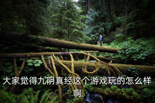 大家觉得九阴真经这个游戏玩的怎么样啊