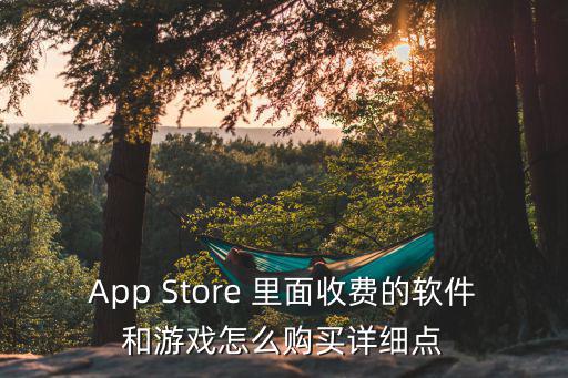 App Store 里面收费的软件和游戏怎么购买详细点