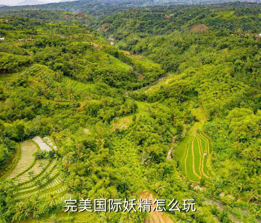 完美国际妖精怎么玩