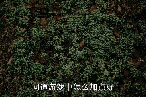 问道游戏中怎么加点好