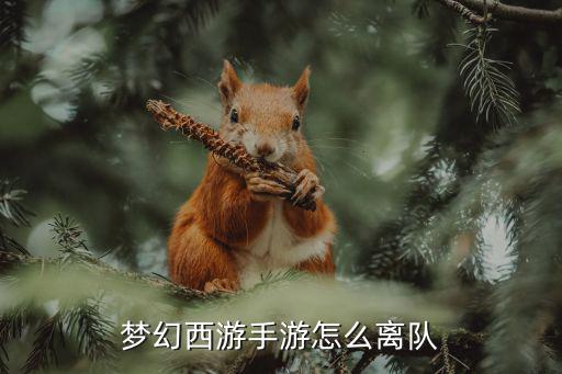 梦幻西游手游怎么离队