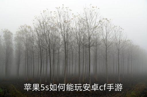 cf手游安卓版怎么玩，苹果5s如何能玩安卓cf手游