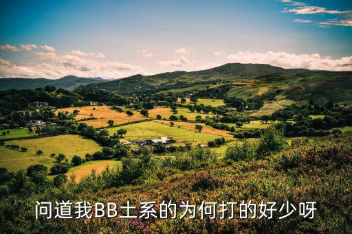 问道我BB土系的为何打的好少呀