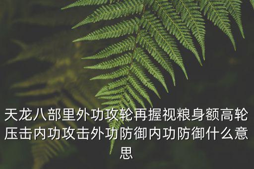 天龙八部里外功攻轮再握视粮身额高轮压击内功攻击外功防御内功防御什么意思