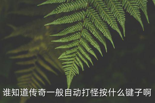 传奇手游怎么自动刷怪，热血传奇有自动打怪的方法吗