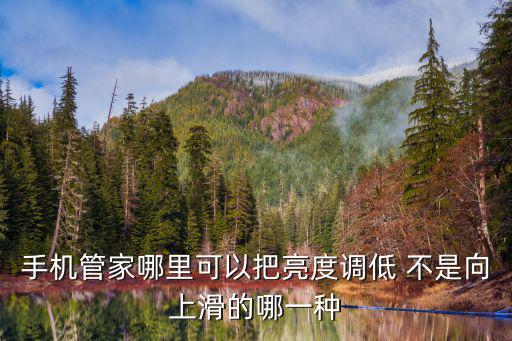 手机管家哪里可以把亮度调低 不是向上滑的哪一种