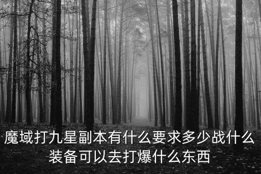 魔域打九星副本有什么要求多少战什么装备可以去打爆什么东西