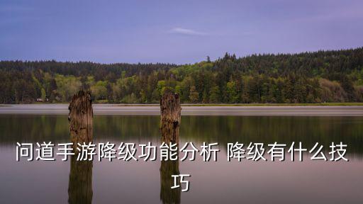 问道手游降级功能分析 降级有什么技巧
