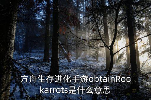 方舟生存进化手游obtainRockarrots是什么意思