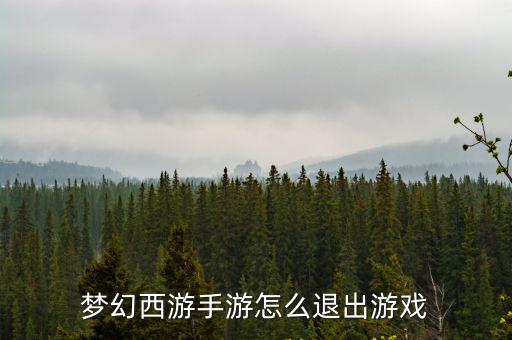梦幻西游手游怎么退出游戏