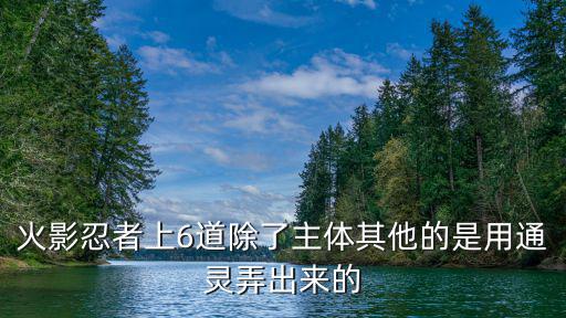 火影忍者上6道除了主体其他的是用通灵弄出来的