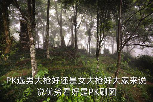 PK选男大枪好还是女大枪好大家来说说优劣看好是PK刷图