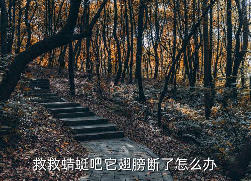 方舟手游蜻蜓怎么修复，救救蜻蜓吧它翅膀断了怎么办