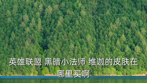 英雄联盟 黑暗小法师 维迦的皮肤在哪里买啊