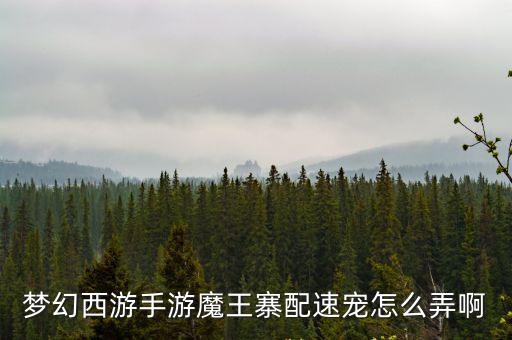 梦幻手游千速宠物怎么培养，梦幻西游手游卡速宝宝加点攻略 卡速宝宝怎么培养