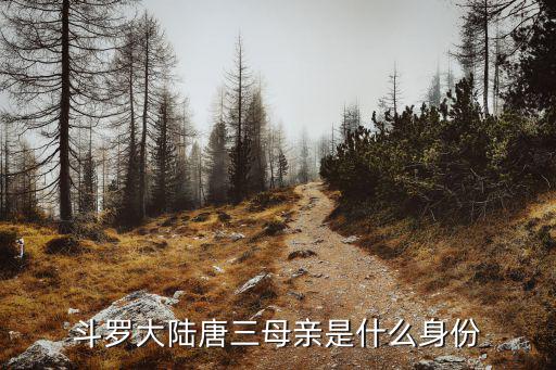 斗罗大陆唐三母亲是什么身份