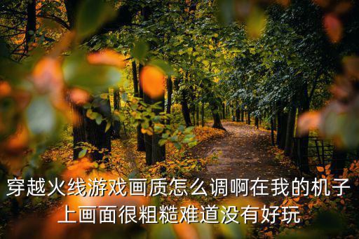 穿越火线游戏画质怎么调啊在我的机子上画面很粗糙难道没有好玩