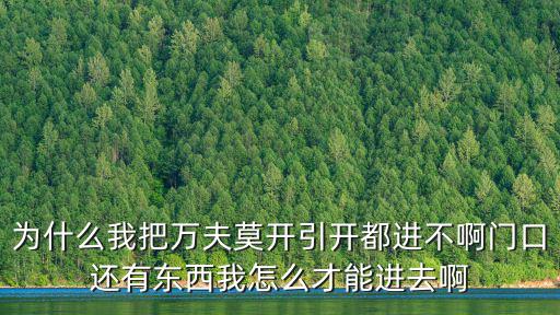 灌篮高手手游万夫莫开怎么过，为什么我把万夫莫开引开都进不啊门口还有东西我怎么才能进去啊