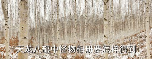 天龙八部中怪物相册要怎样得到