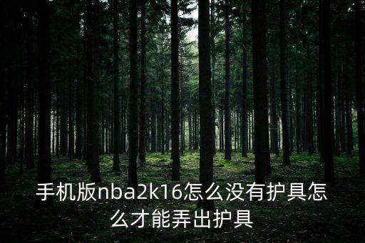 手机版nba2k16怎么没有护具怎么才能弄出护具