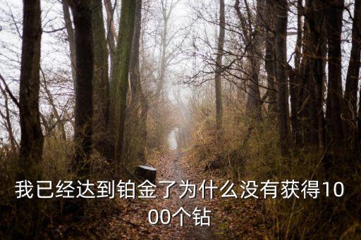 我已经达到铂金了为什么没有获得1000个钻