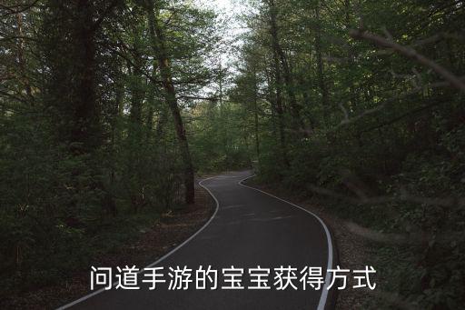 问道手游的宝宝获得方式