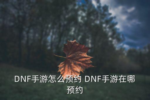 DNF手游怎么预约 DNF手游在哪预约