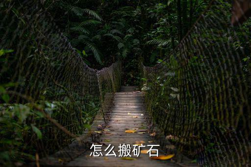 eve手游怎么转移矿石，怎么搬矿石