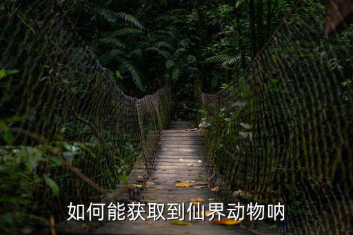 如何能获取到仙界动物呐
