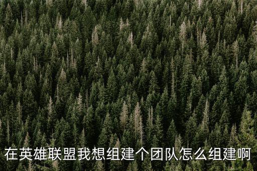 在英雄联盟我想组建个团队怎么组建啊