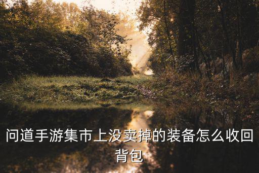 问道手游背包怎么找回来，问道手游集市上没卖掉的装备怎么收回背包