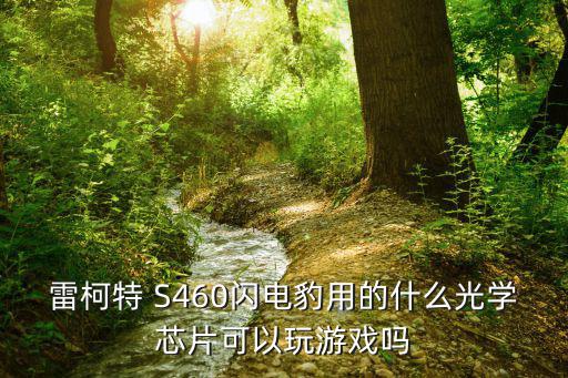 雷柯特 S460闪电豹用的什么光学芯片可以玩游戏吗