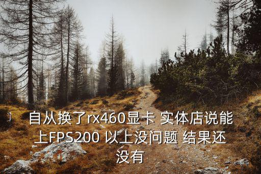 自从换了rx460显卡 实体店说能上FPS200 以上没问题 结果还没有