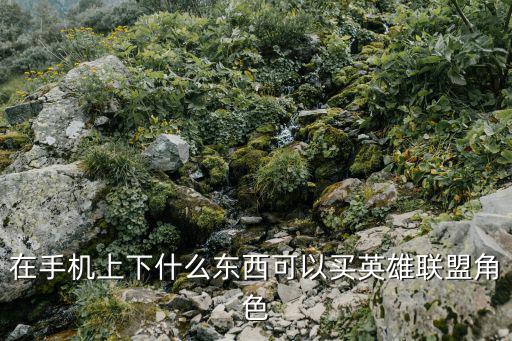 lol手游角色怎么买，LOL怎么买角色