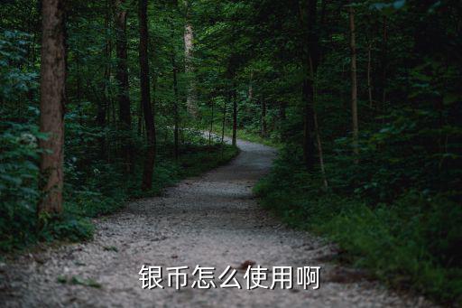 银币怎么使用啊