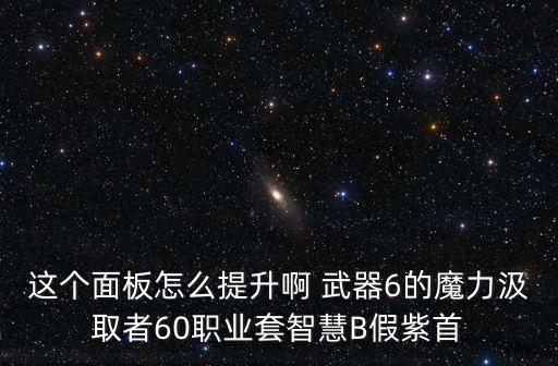 这个面板怎么提升啊 武器6的魔力汲取者60职业套智慧B假紫首