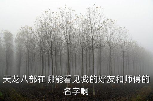 天龙八部在哪能看见我的好友和师傅的名字啊