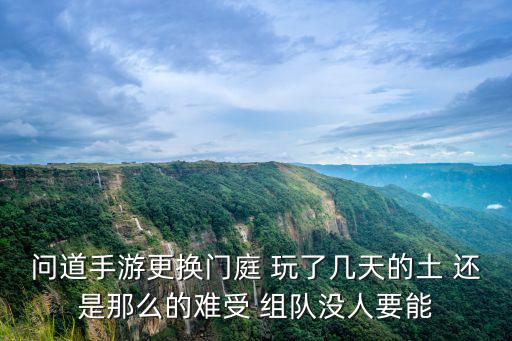 问道手游更换门庭 玩了几天的土 还是那么的难受 组队没人要能