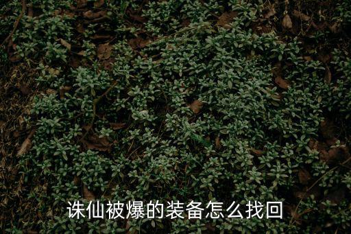 诛仙被爆的装备怎么找回