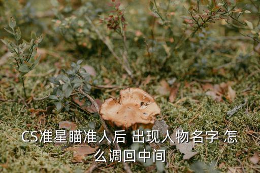 CS准星瞄准人后 出现人物名字 怎么调回中间