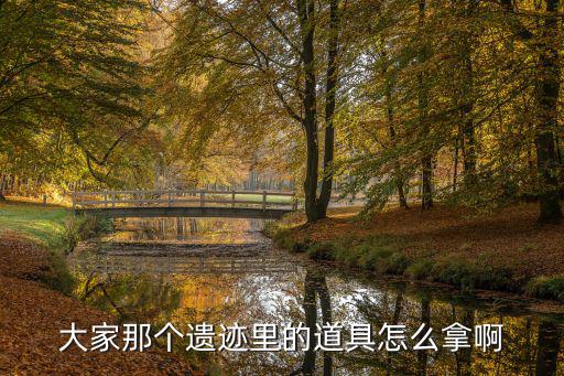 大家那个遗迹里的道具怎么拿啊