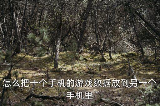 手机怎么挂两个手游，手游能多开吗用什么软件啊