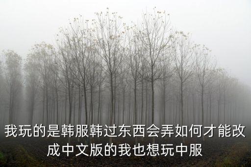 云顶之弈外服手游怎么设置成中文，请教美服注册的号怎么把常用语言设置为中文