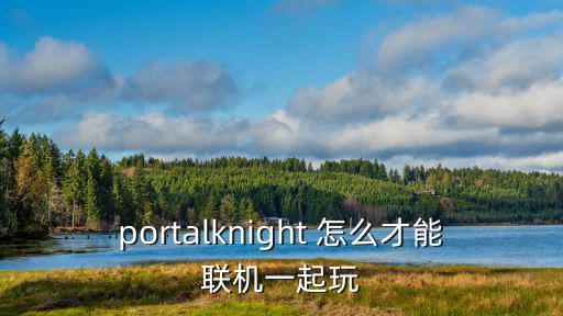 portalknight 怎么才能联机一起玩