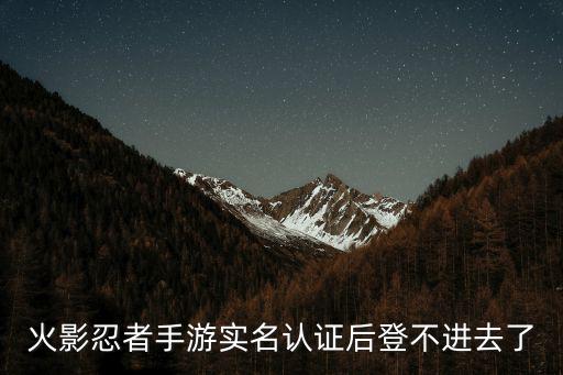 火影忍者手游实名认证后登不进去了
